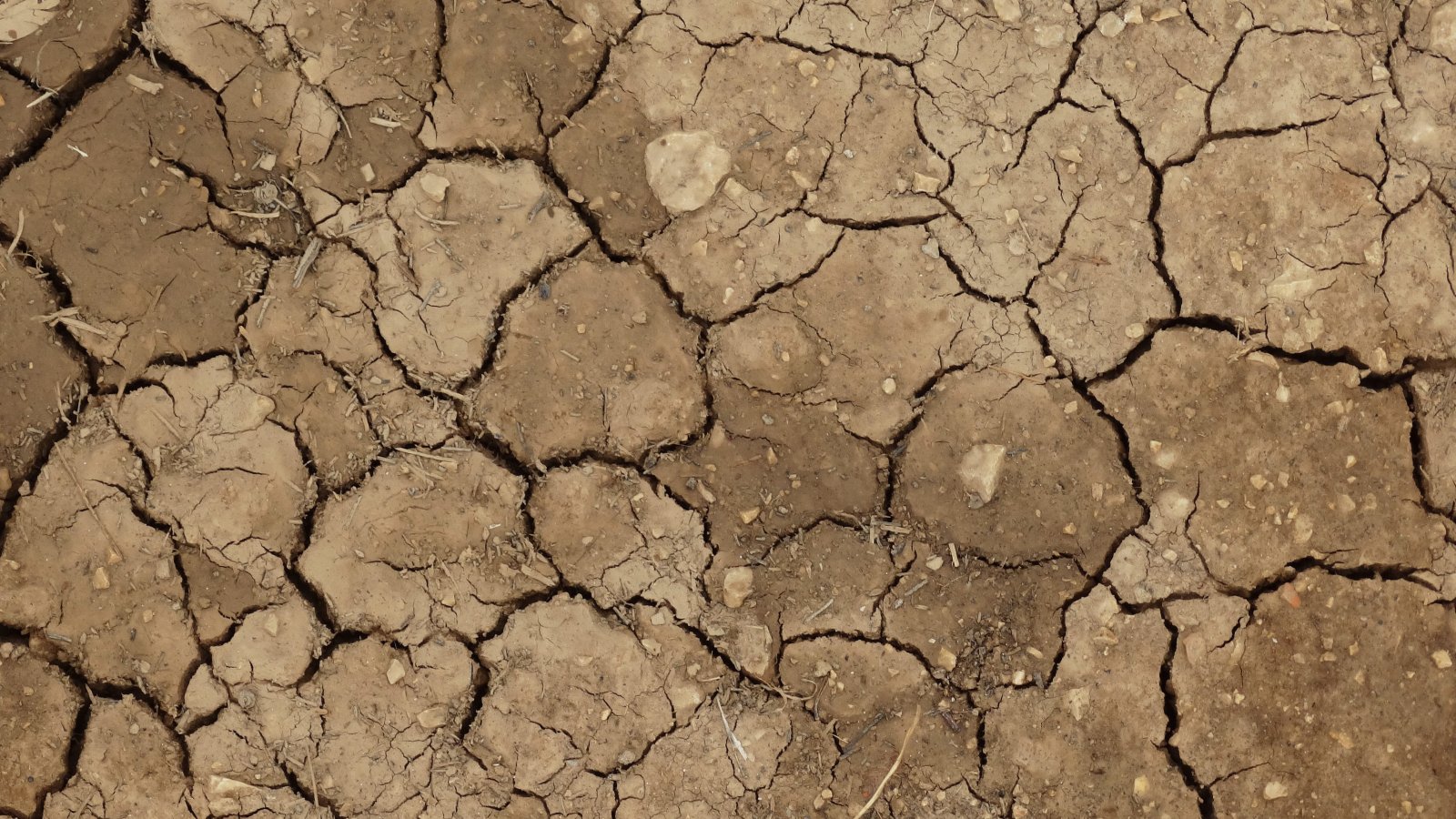 Rischio siccità nella Granda