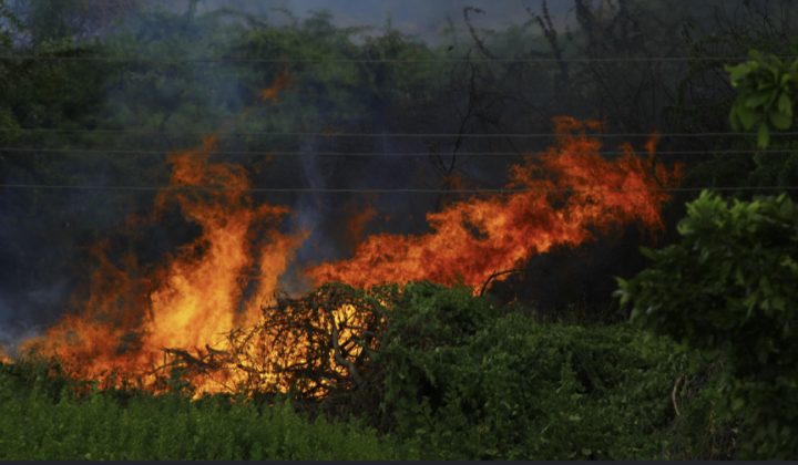 Emergenza incendi Piemonte: Azione propone due soluzioni a Fondazione CRC e Regione Piemonte per non avere un altro caso Valdieri