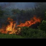 Emergenza incendi Piemonte: Azione propone due soluzioni a Fondazione CRC e Regione Piemonte per non avere un altro caso Valdieri